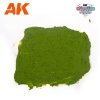 AK Interactive AK1217 PLAGUE GROUND – WARGAME TERRAINS 100ML